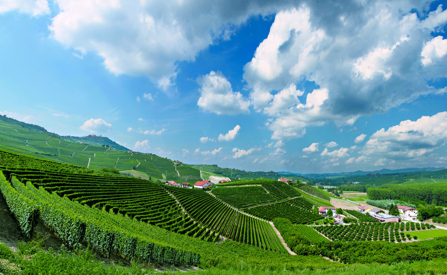 Rolling, hilly vineyards of Piemonte with clouds in blue sky