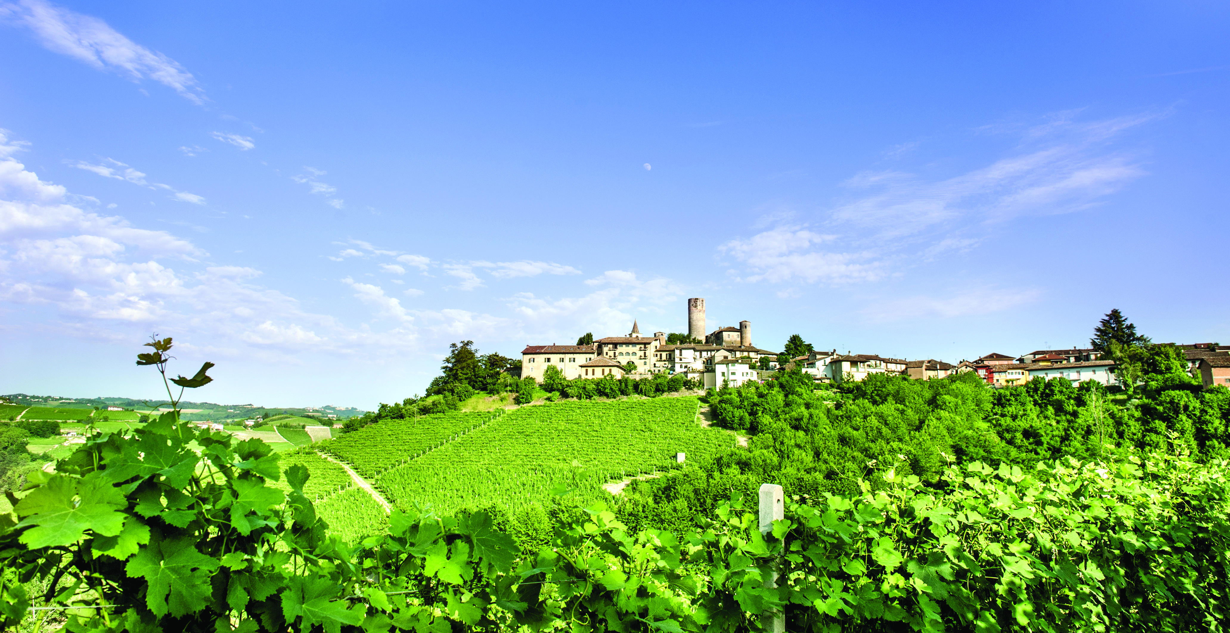 Green vines with hills of vineyards and small village Piemonte