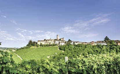 Green vines with hills of vineyards and small village Piemonte