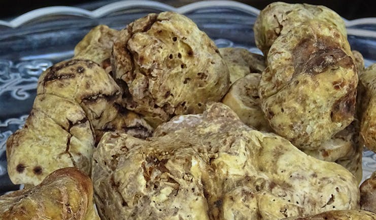 Bulbous white truffles on a plate
