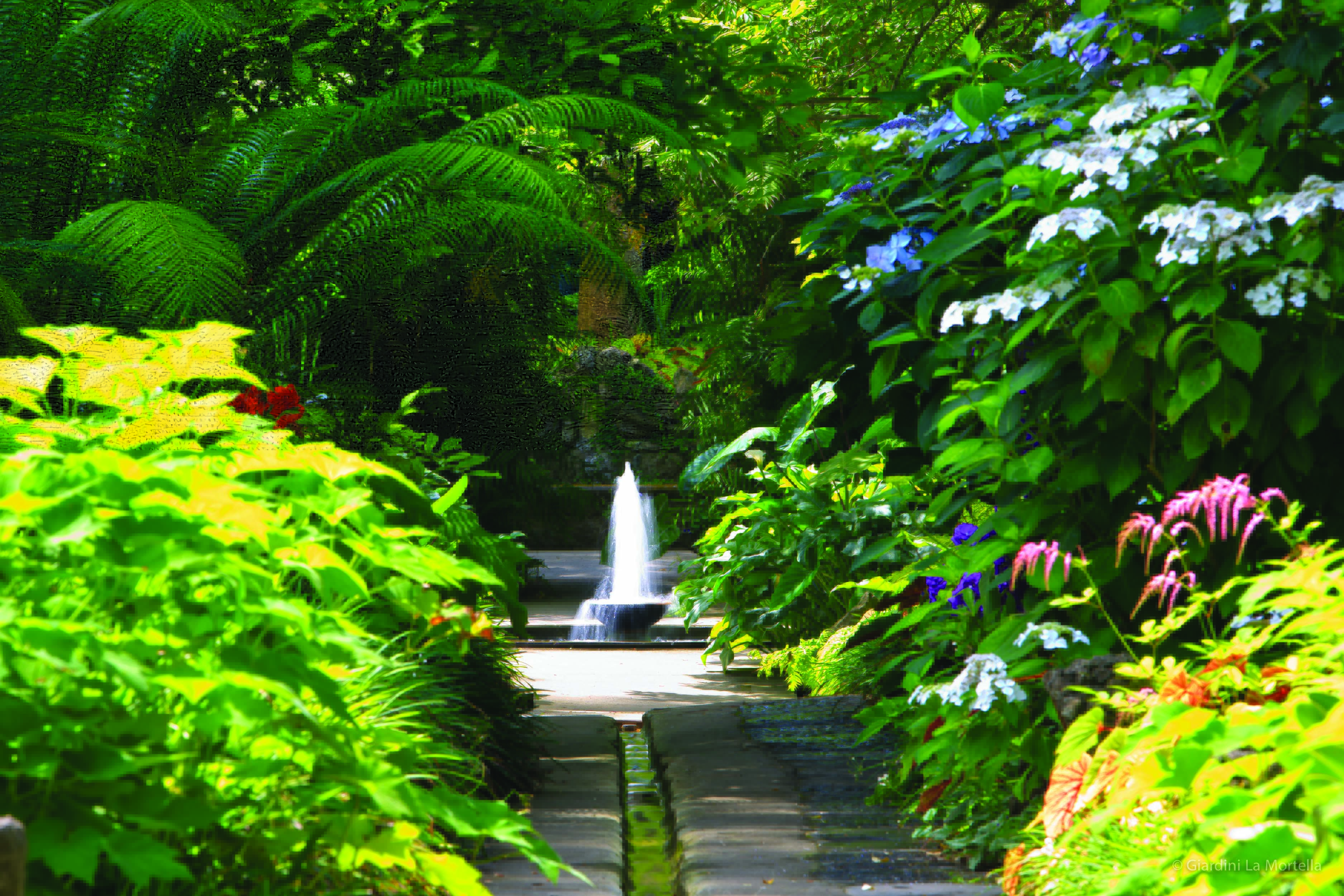 Fountain surrounded by rich green palms and leaves