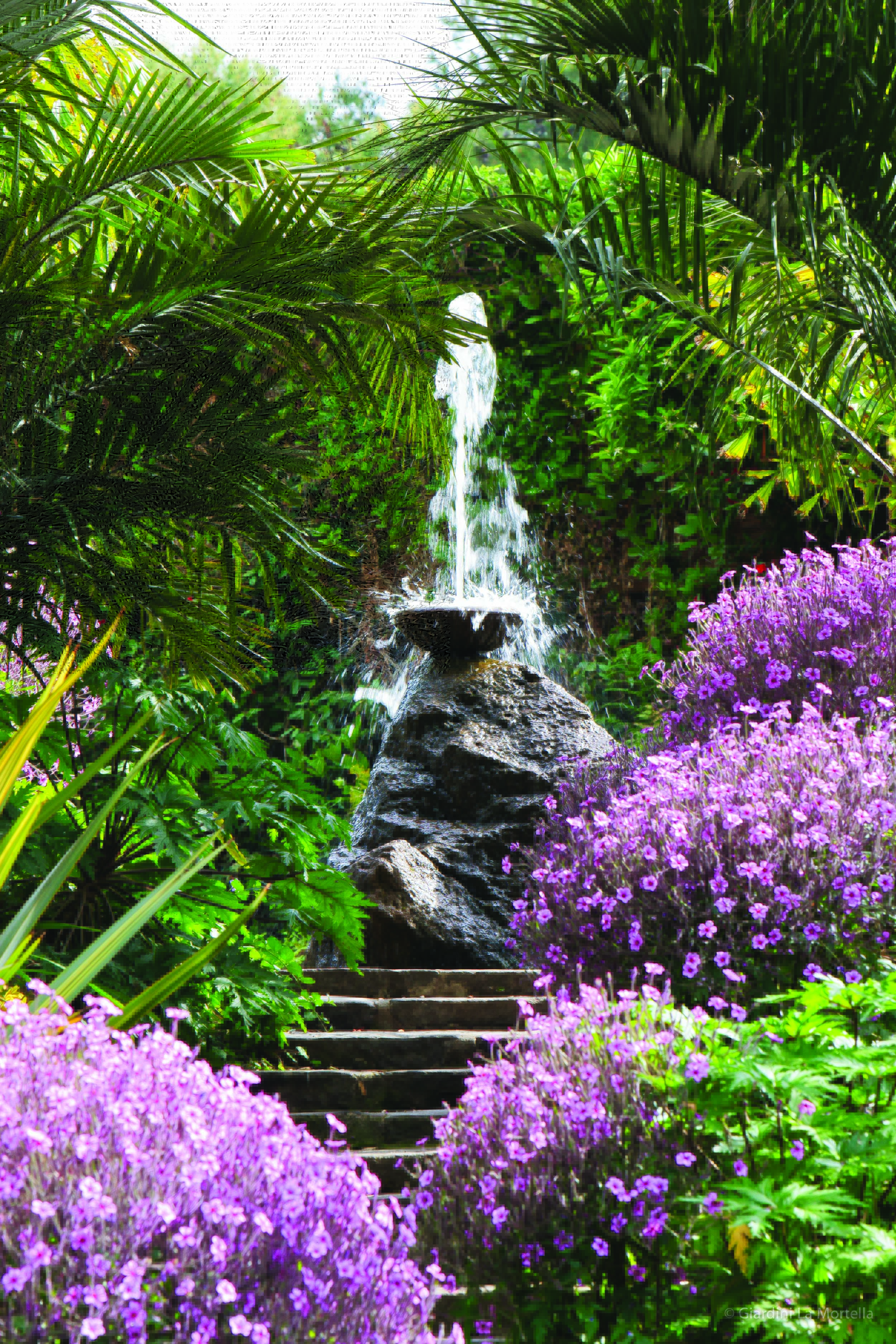 Fountain with statue high up on a stone staircase bordered by pink flowers