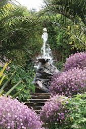 Fountain with statue high up on a stone staircase bordered by pink flowers