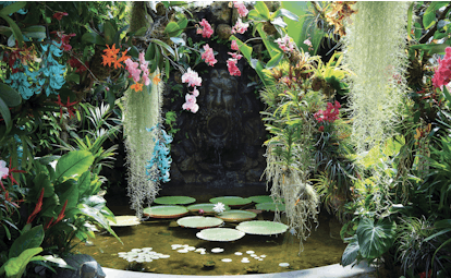 Pond with water lilies surrounded by overhanging green and pink vegetation