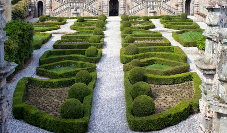Parterre of box and in distance terraced stonework at Villa Garzoni