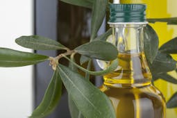 Bunch of olive leaves with olive oil in glass bottle Italy