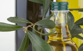 Bunch of olive leaves with olive oil in glass bottle Italy