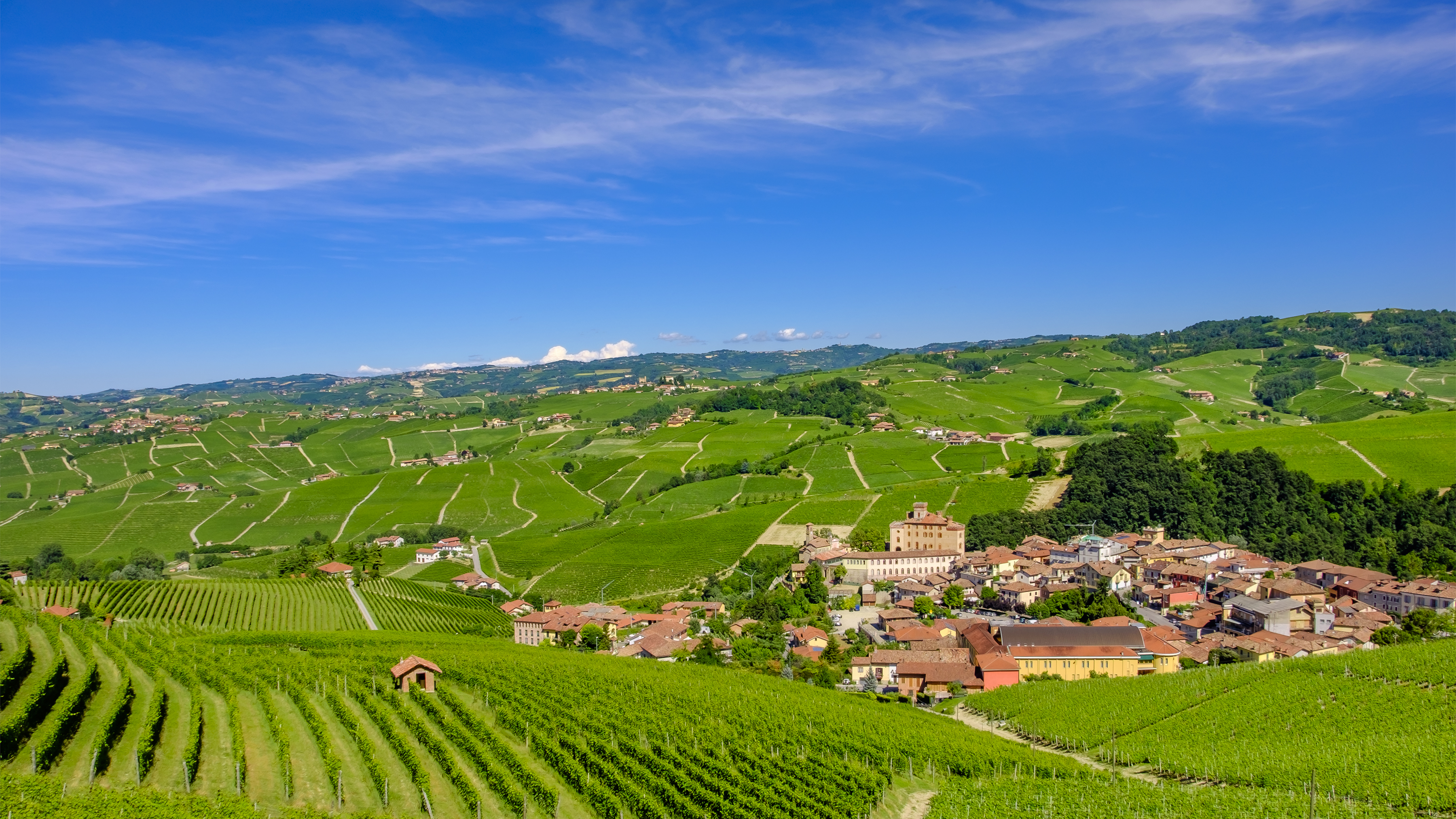 Distant village of Barolo amid vineyards in Piemonte