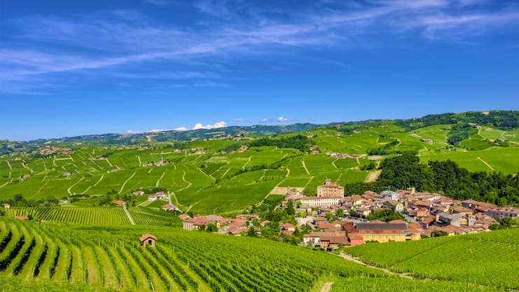 Distant village of Barolo amid vineyards in Piemonte