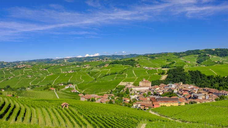 Distant village of Barolo amid vineyards in Piemonte