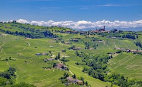 Landscape of patchwork of green vineyards of Barolo in Piemonte