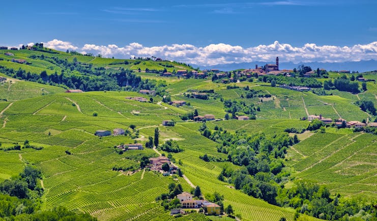 Landscape of patchwork of green vineyards of Barolo in Piemonte