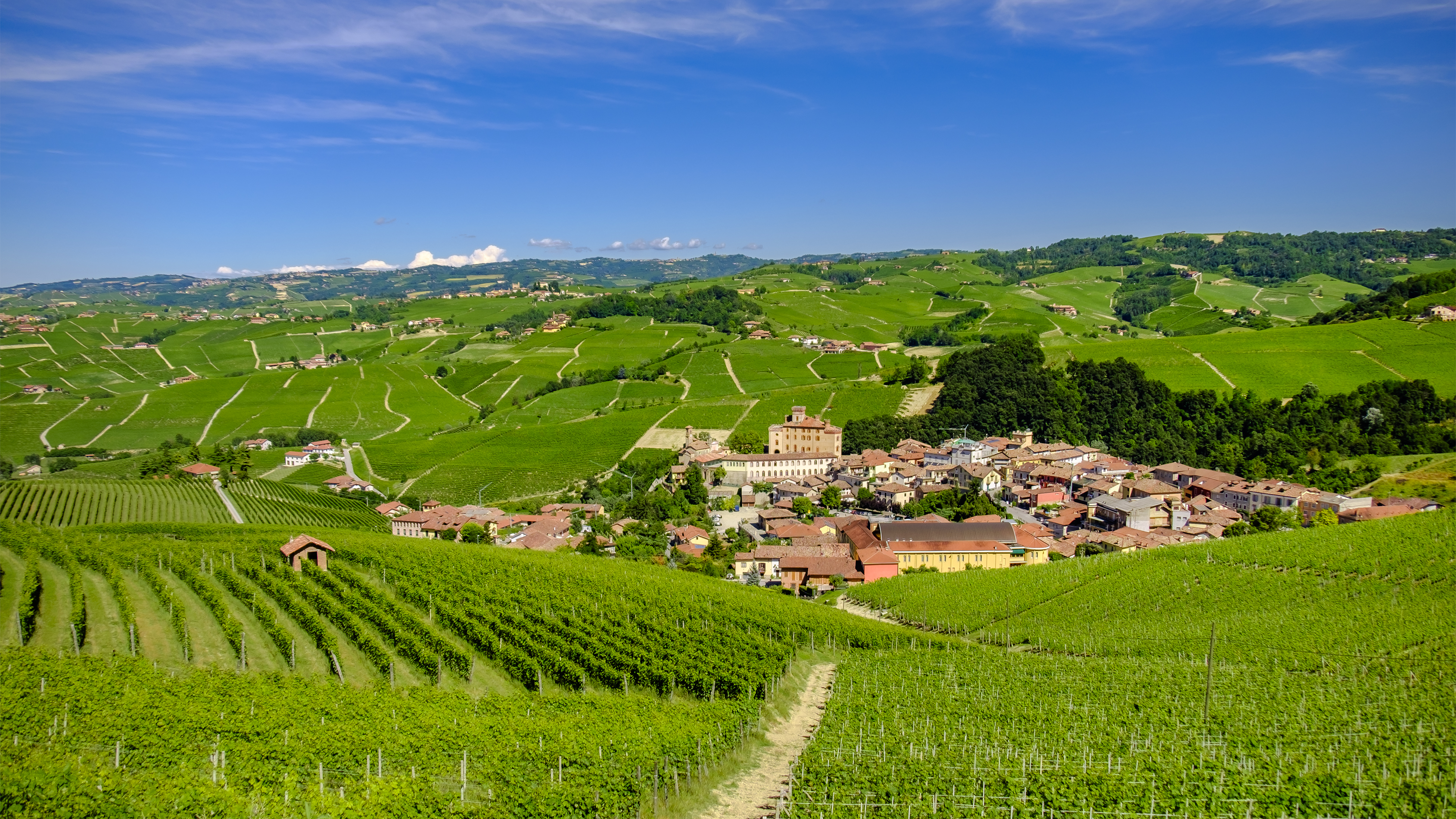 Village of Barolo in middle of rows of green vineyards in Piemonte