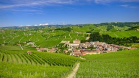 Village of Barolo in middle of rows of green vineyards in Piemonte