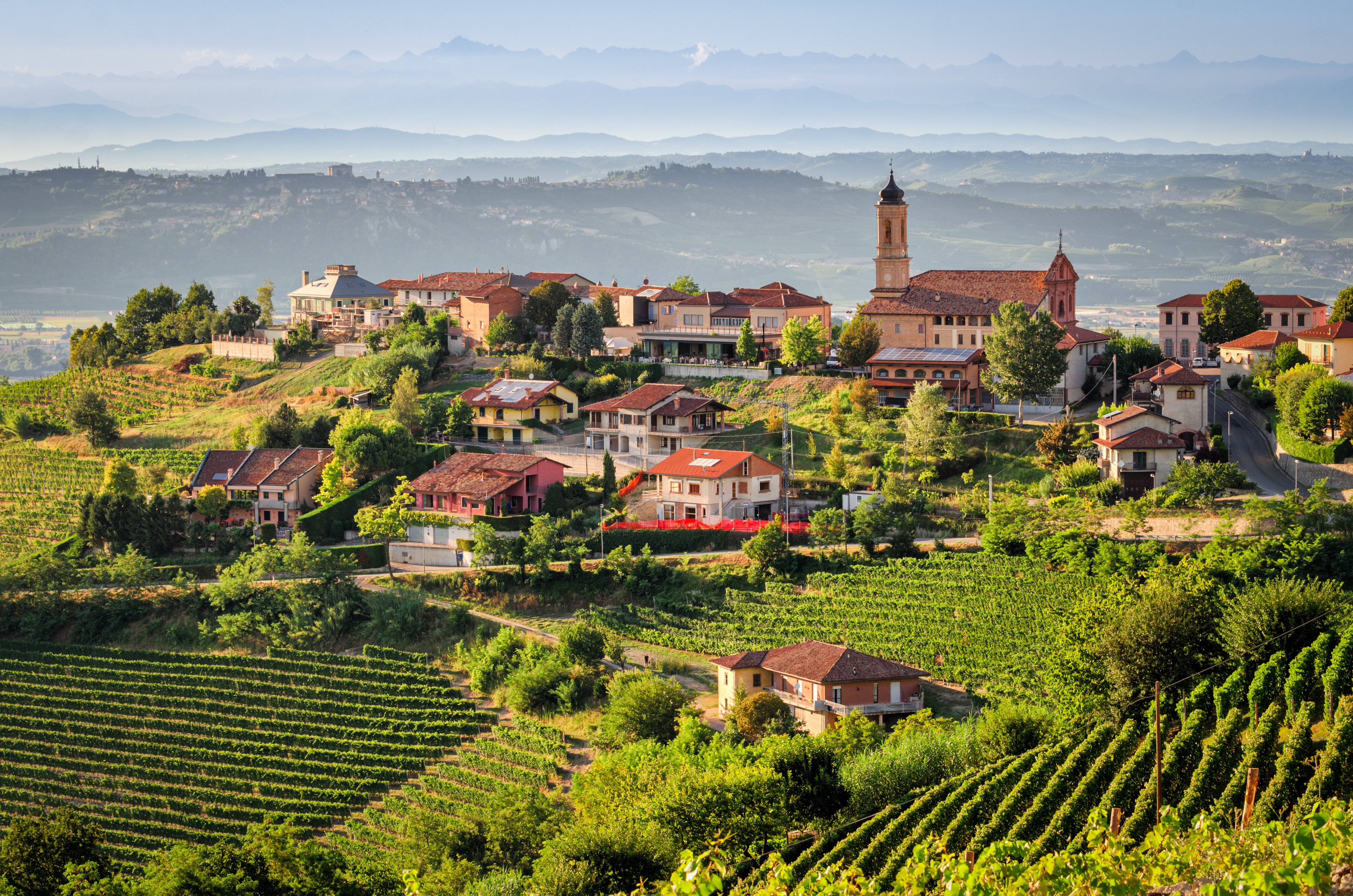 Hilly vineyards with village of red roofs in Le Langhe in Piemonte