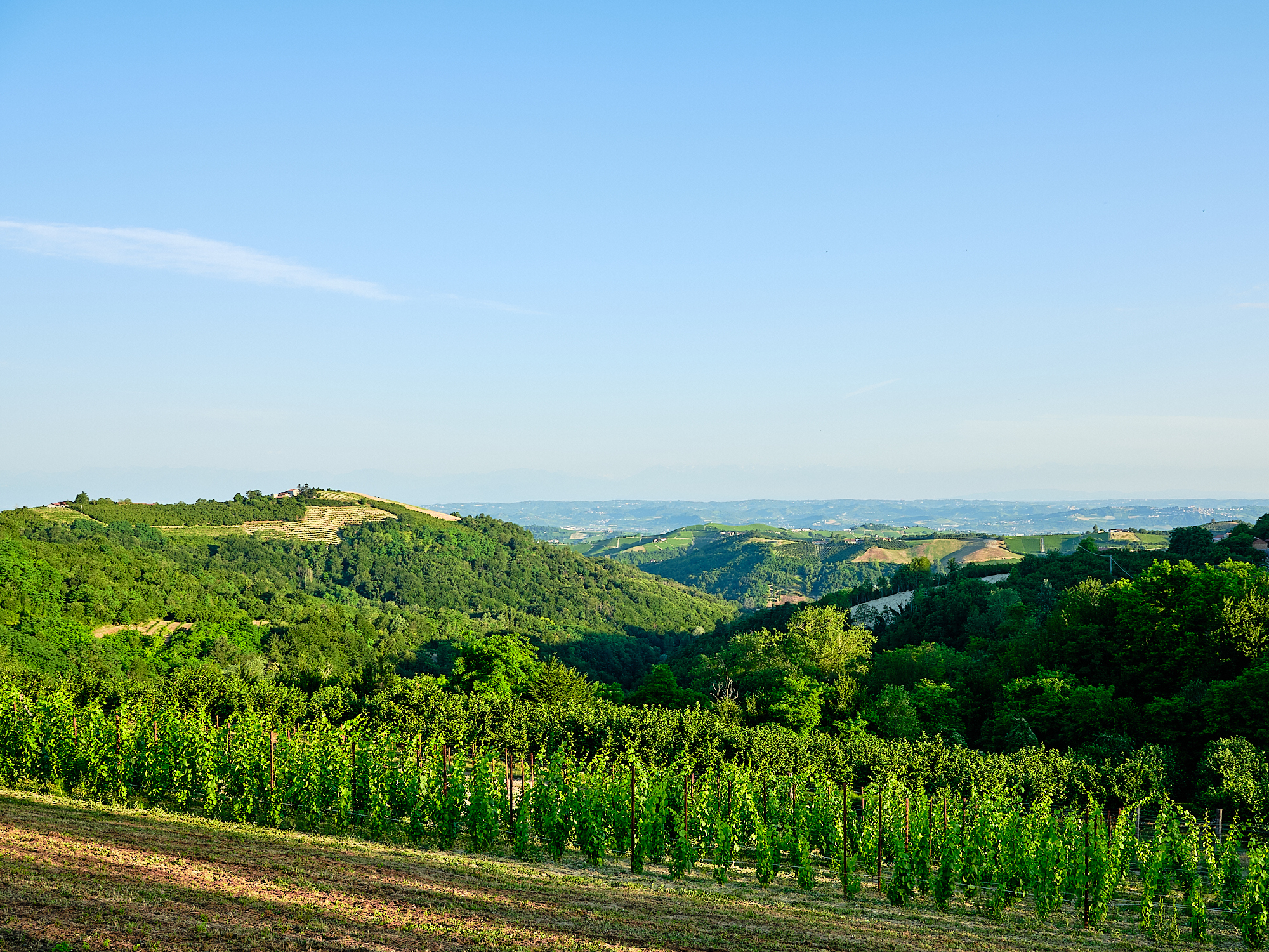 Villa D'Amelia Piemonte view of vineyards and hills