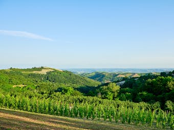 Villa D'Amelia Piemonte view of vineyards and hills