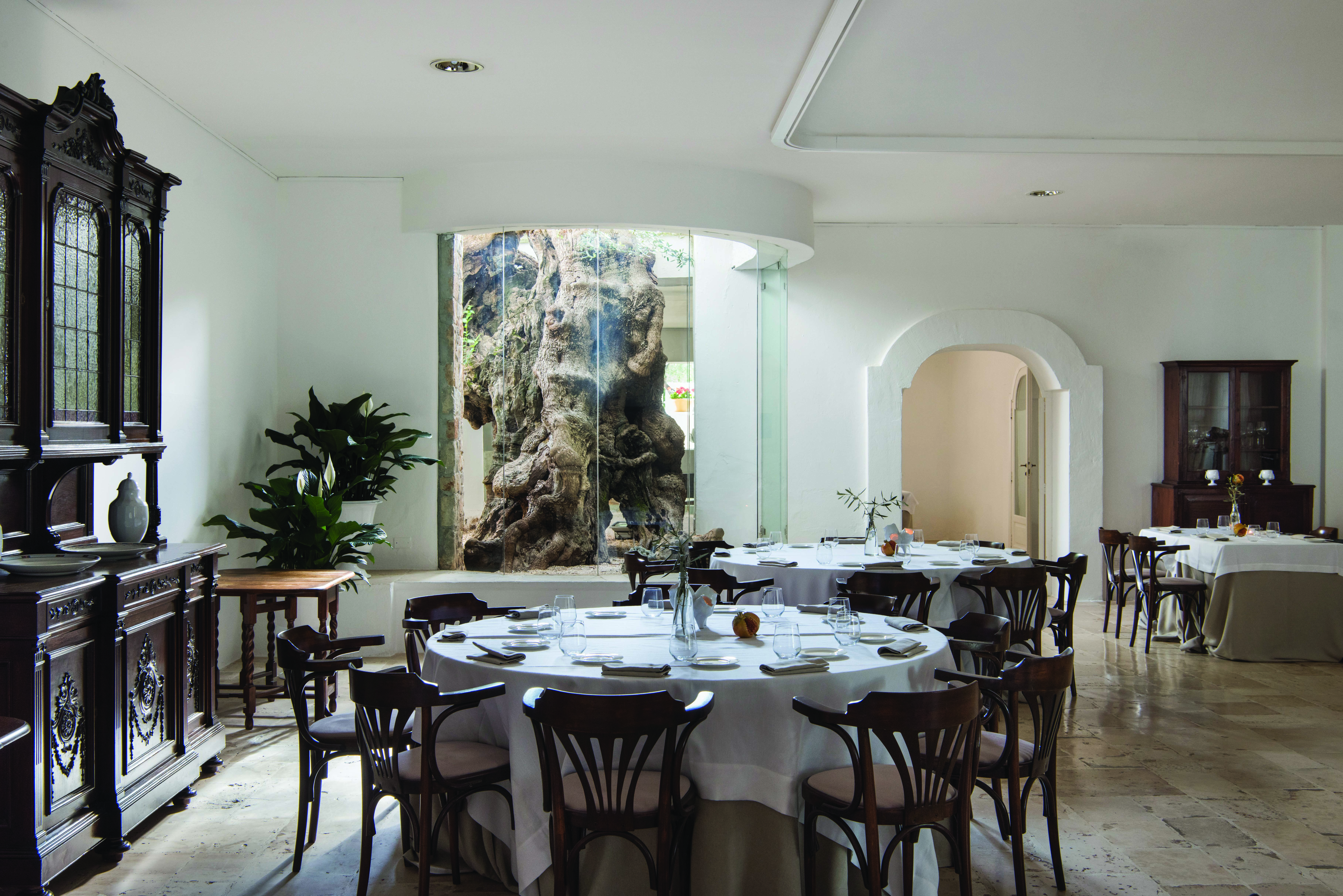 Il Melograno Puglia restaurant indoor dining window with view of tree trunk