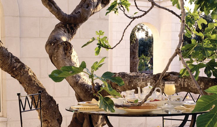 Masseria San Domenico Puglia patio dining breakfast table tree
