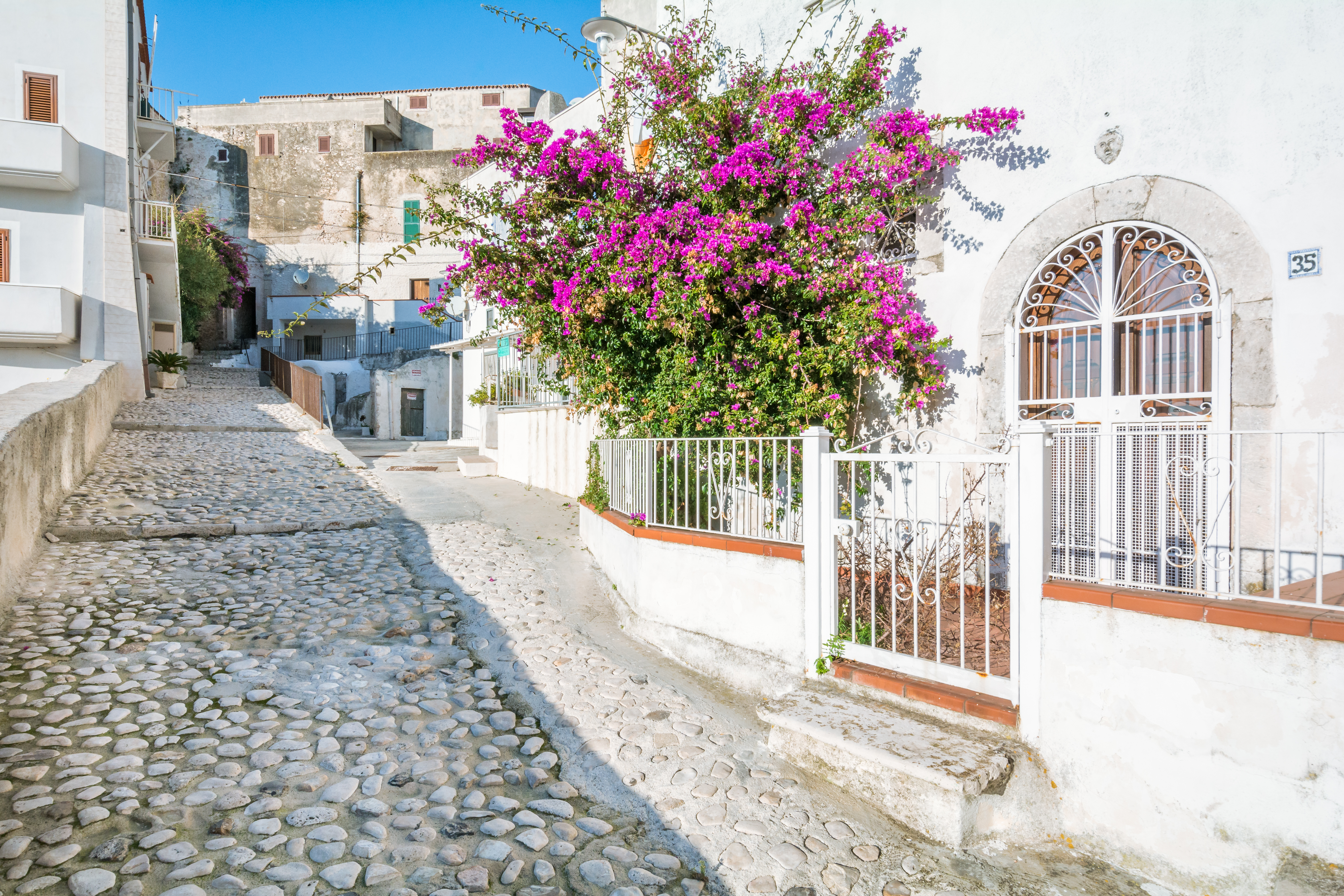 Narrow street lined with white houses and white railings with pink bougainvillaea in town of Peschici Puglia