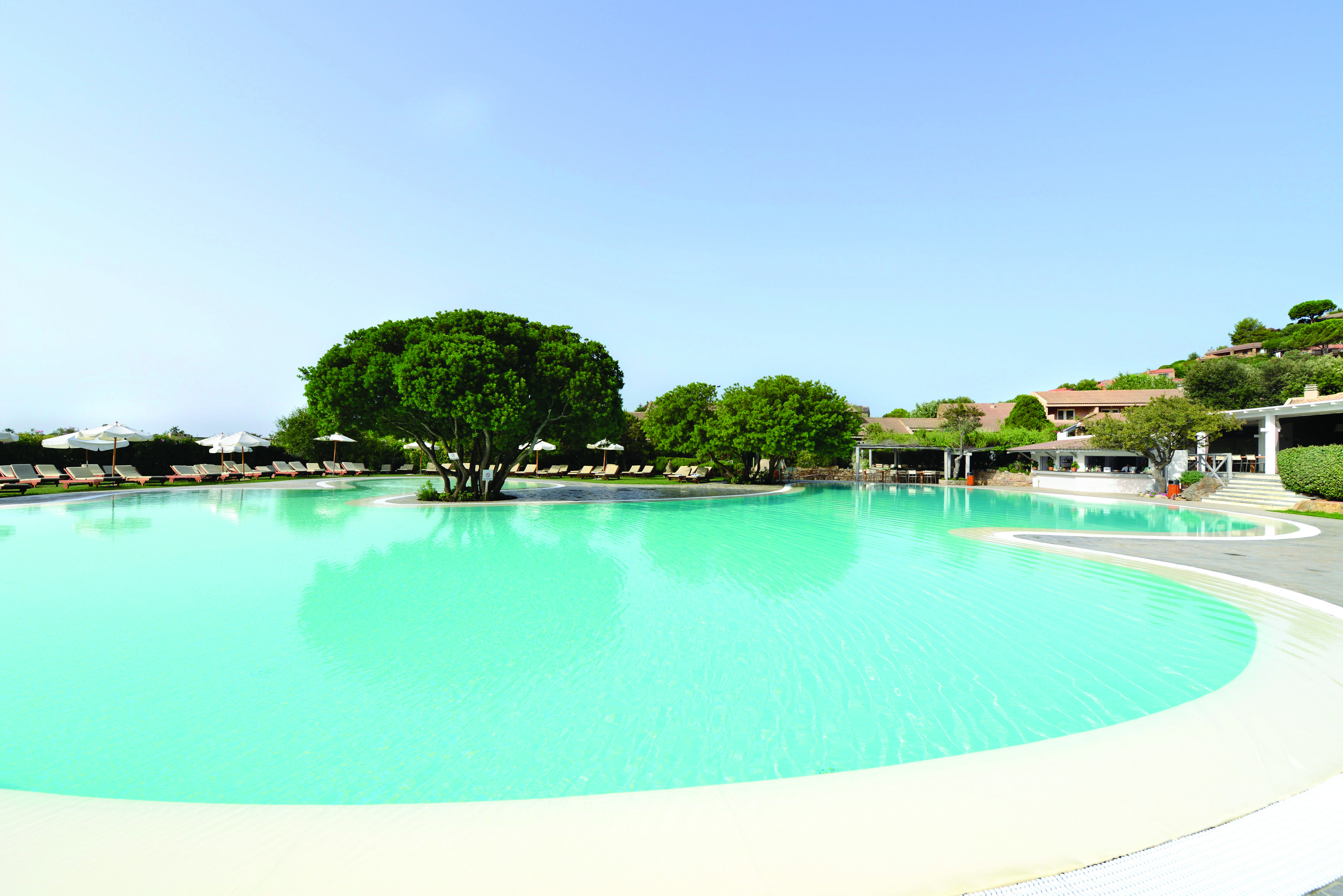 View of the blue curving pool at the Chia Laguna club house with a big green tree in the middle
