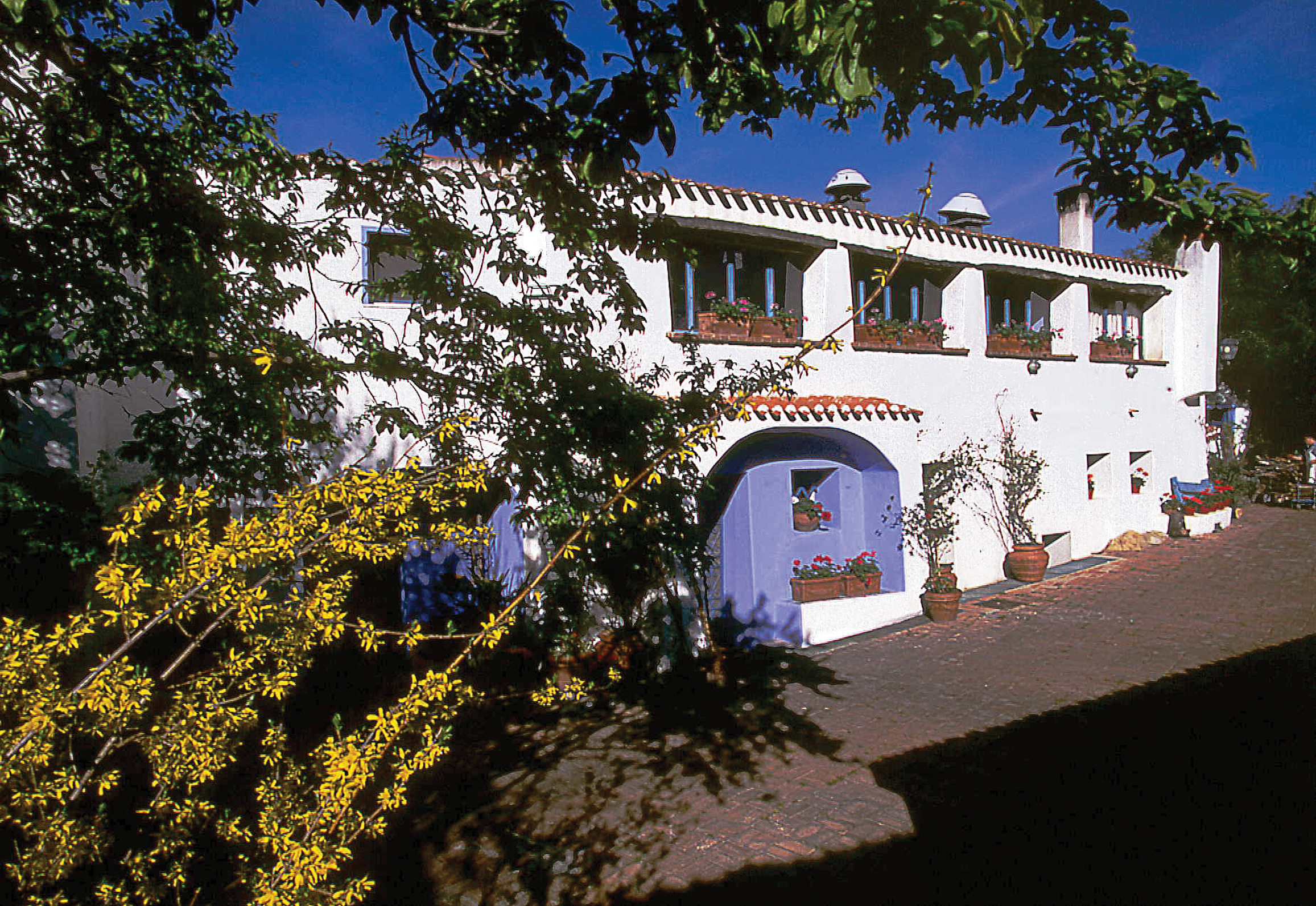 Exterior of hotel with white building, trees around the sides and purple door