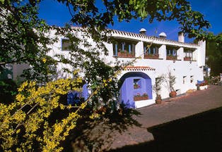 Exterior of hotel with white building, trees around the sides and purple door