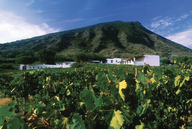 Capofaro Hotel Sicily exterior hotel building vineyards mountain in background