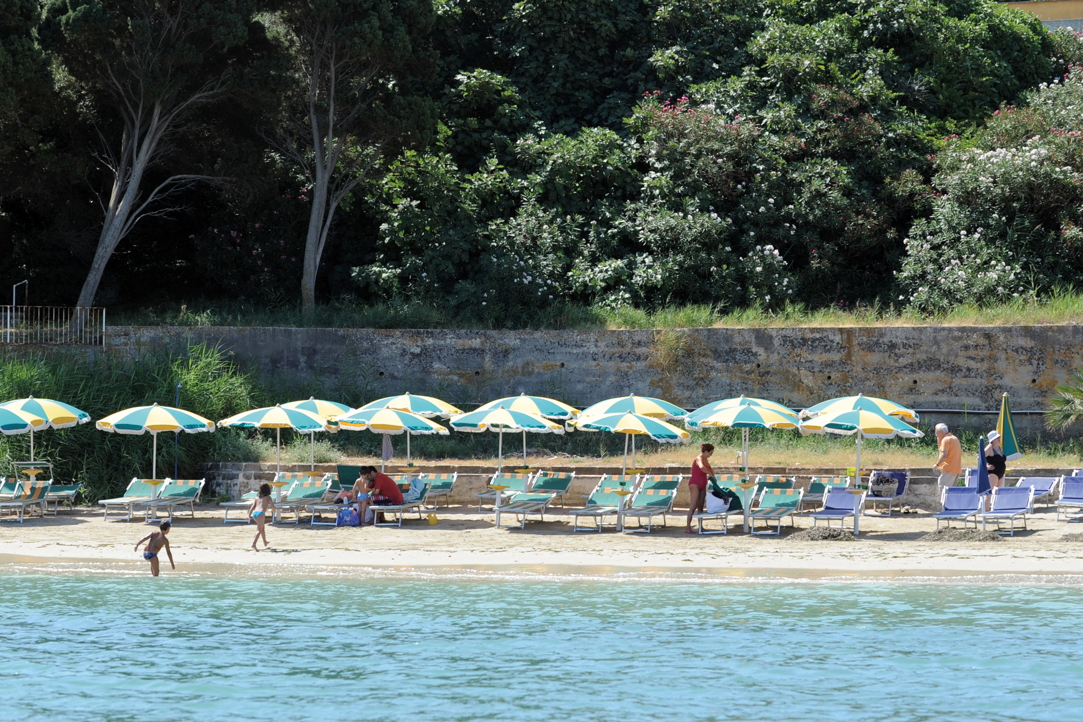 Beach with umbrellas and deck chairs laid out on the sand near the sea