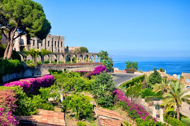 Side of the Greek theatre in Taormina with umbrella pine tree and pink bougainvillaea in terraces of the town