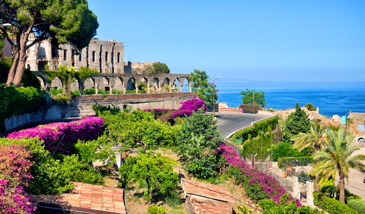 Side of the Greek theatre in Taormina with umbrella pine tree and pink bougainvillaea in terraces of the town
