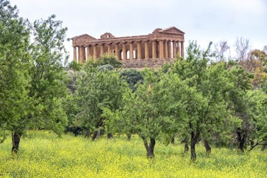 Greek temple of Concordia at Agrigento with trees in foreground