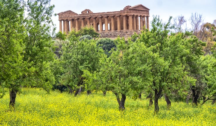 Greek temple of Concordia at Agrigento with trees in foreground