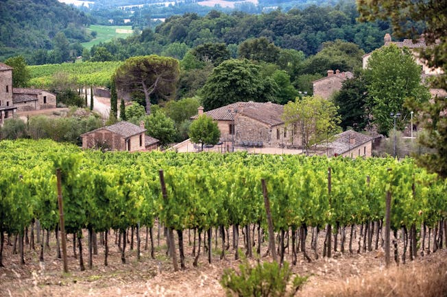 Castel Monastero Tuscany vineyard overlooking the village