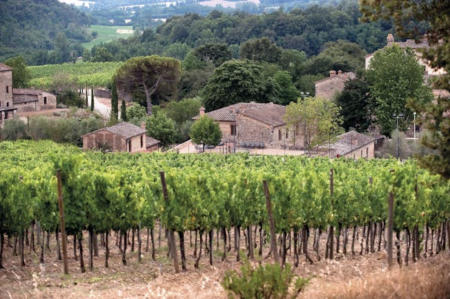 Castel Monastero Tuscany vineyard overlooking the village