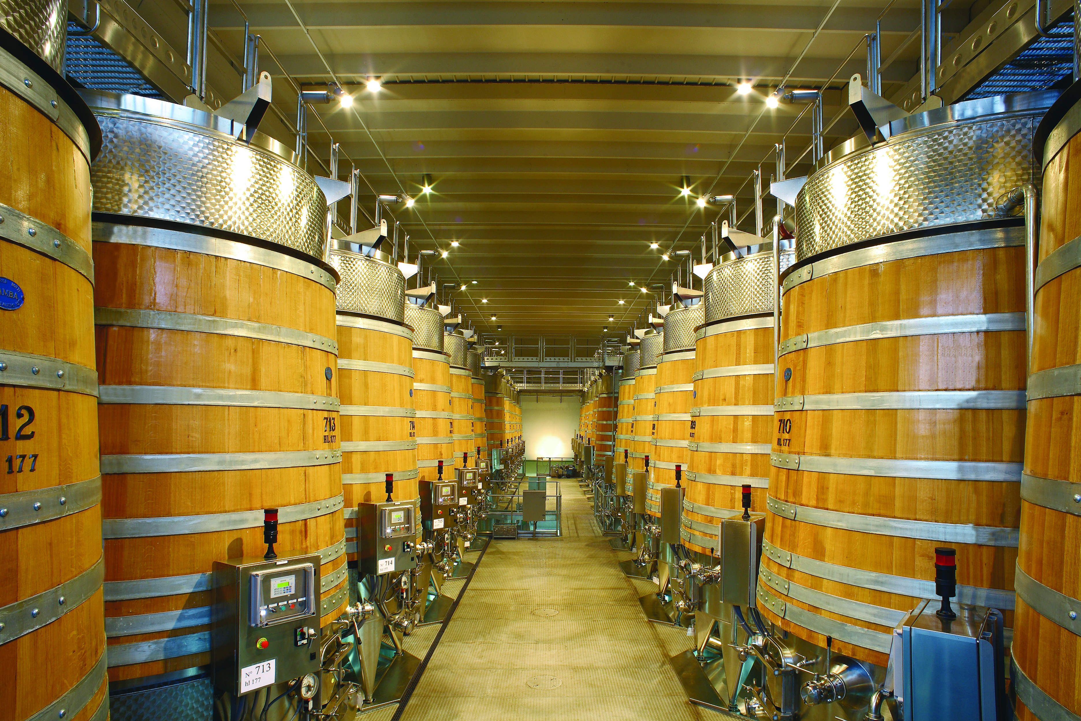 Barrels of wine lined up next to one another in the barrell cellar 