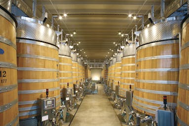 Barrels of wine lined up next to one another in the barrell cellar 