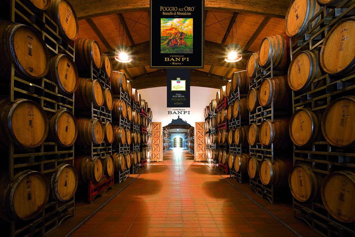 Barrells of wine lying on shelves in an organised fashion  