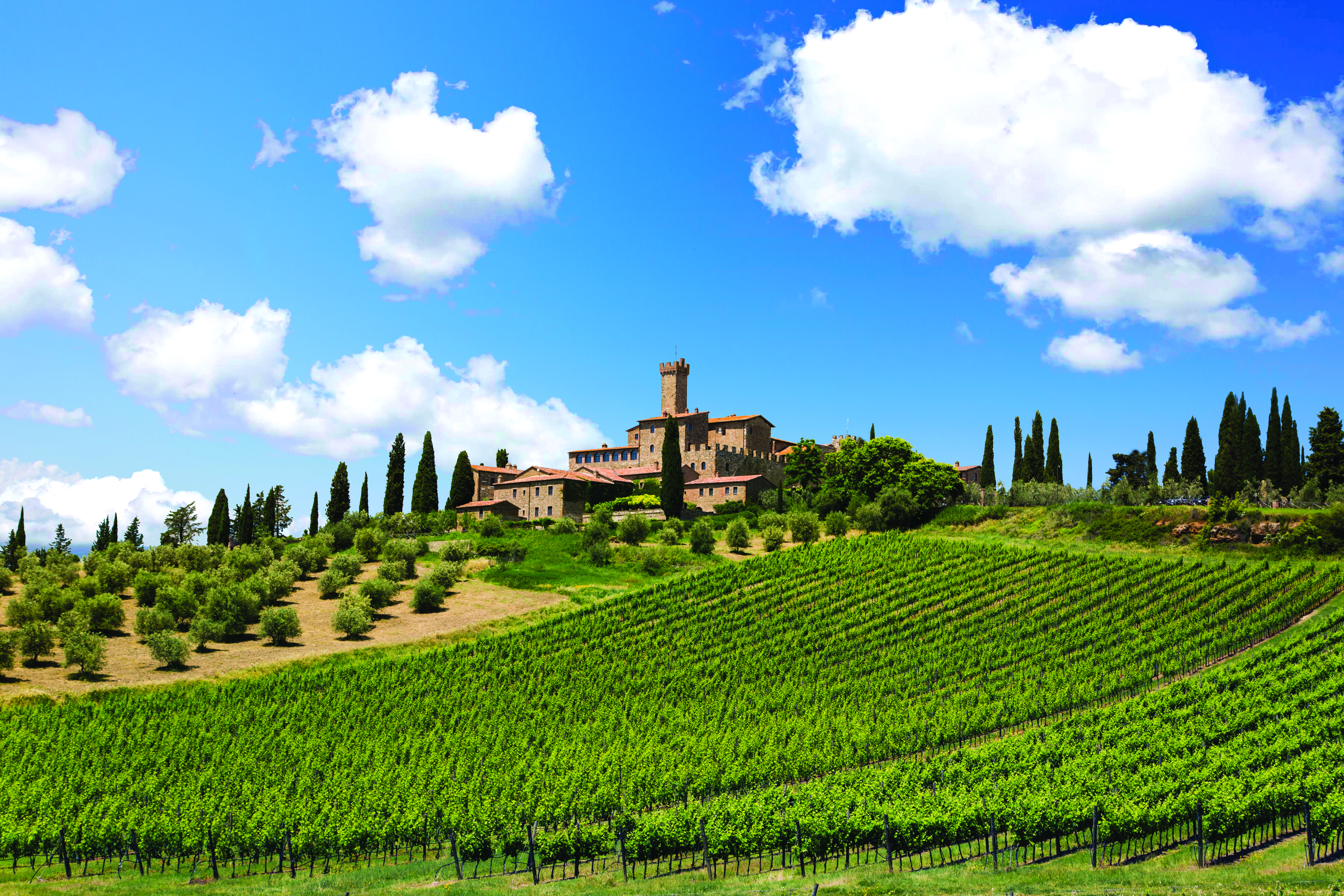 View of the gardens surrounding the castello banfi il borgo with the hotel in background