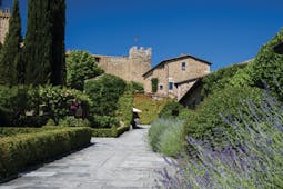 Castello Banfi Tuscany exterior path way lined with shrubs and flowers