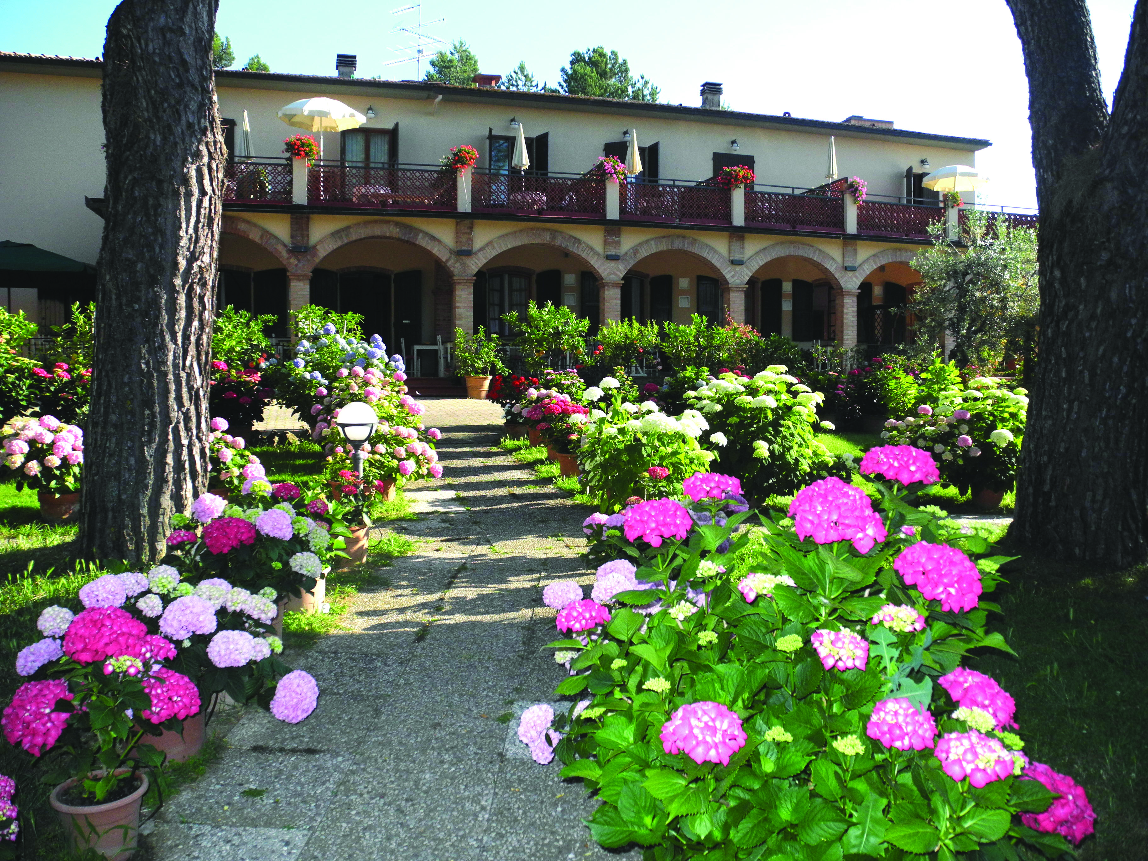 Hotel La Renaie Tuscany exterior pathway flowers