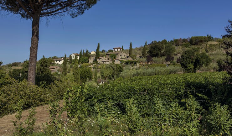 Il Faconiere Tuscany gardens trees greenery and shrubbery