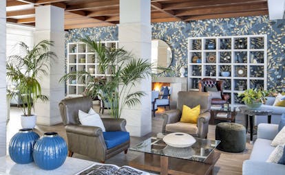 Coloured wall tiles and pot plants in library