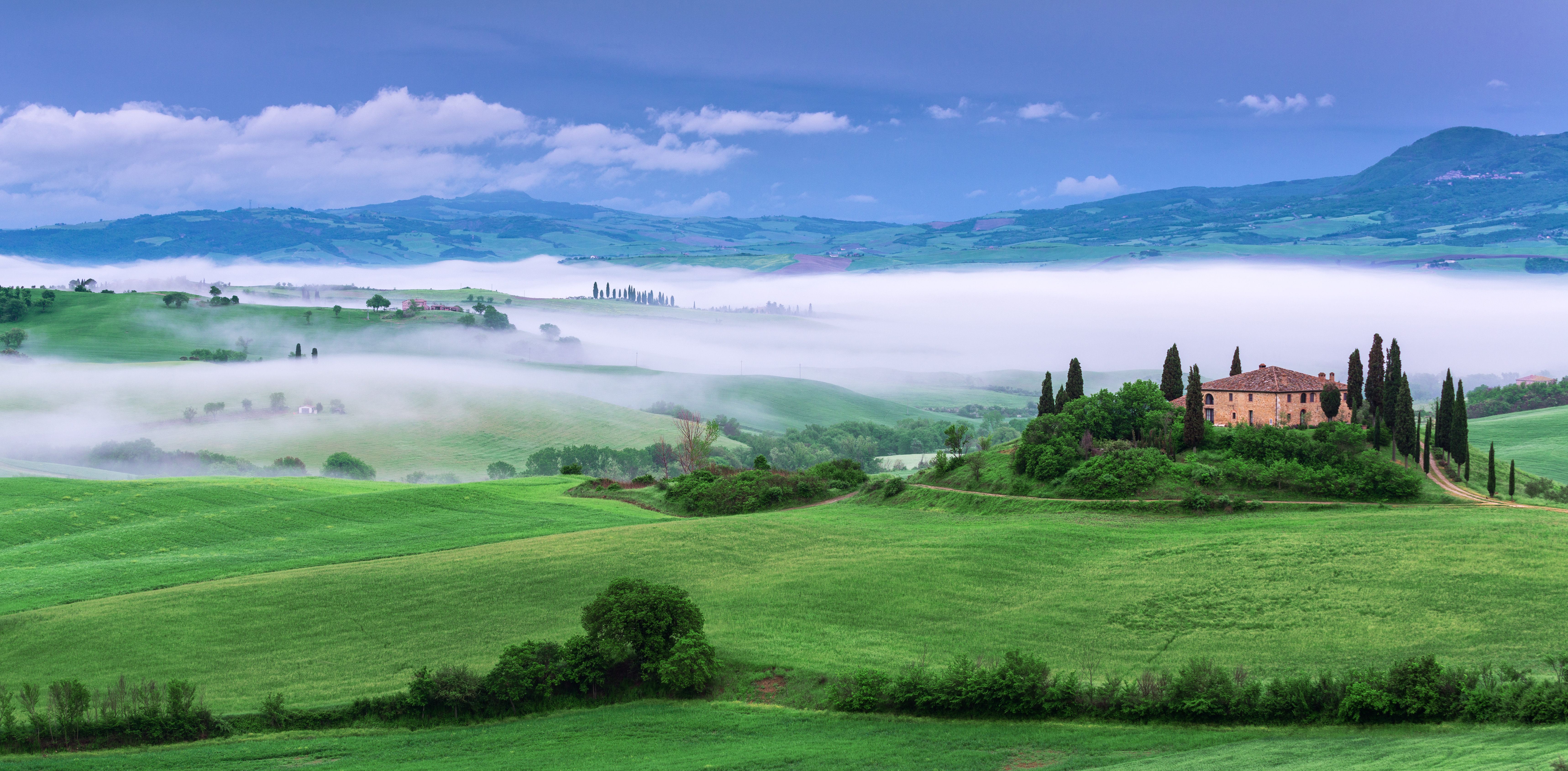 Farmhouse in green rolling fields surrounded by cypress trees in swirling mist