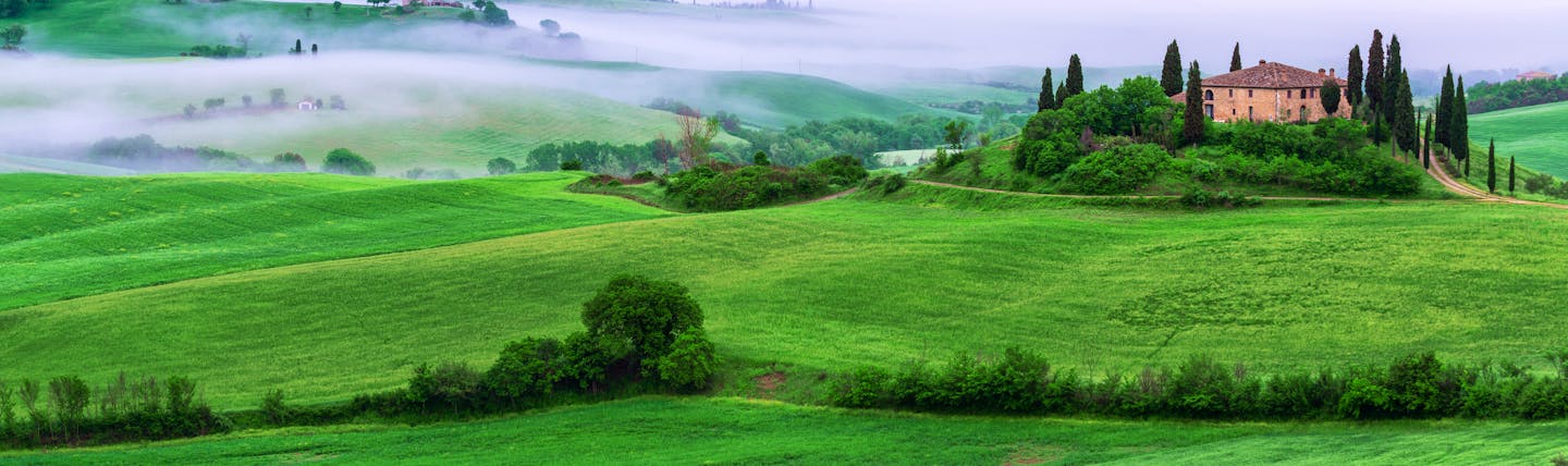 Farmhouse in green rolling fields surrounded by cypress trees in swirling mist