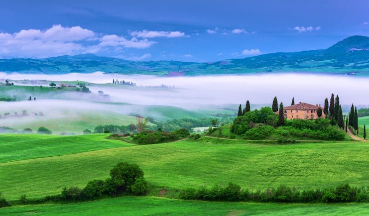 Farmhouse in green rolling fields surrounded by cypress trees in swirling mist