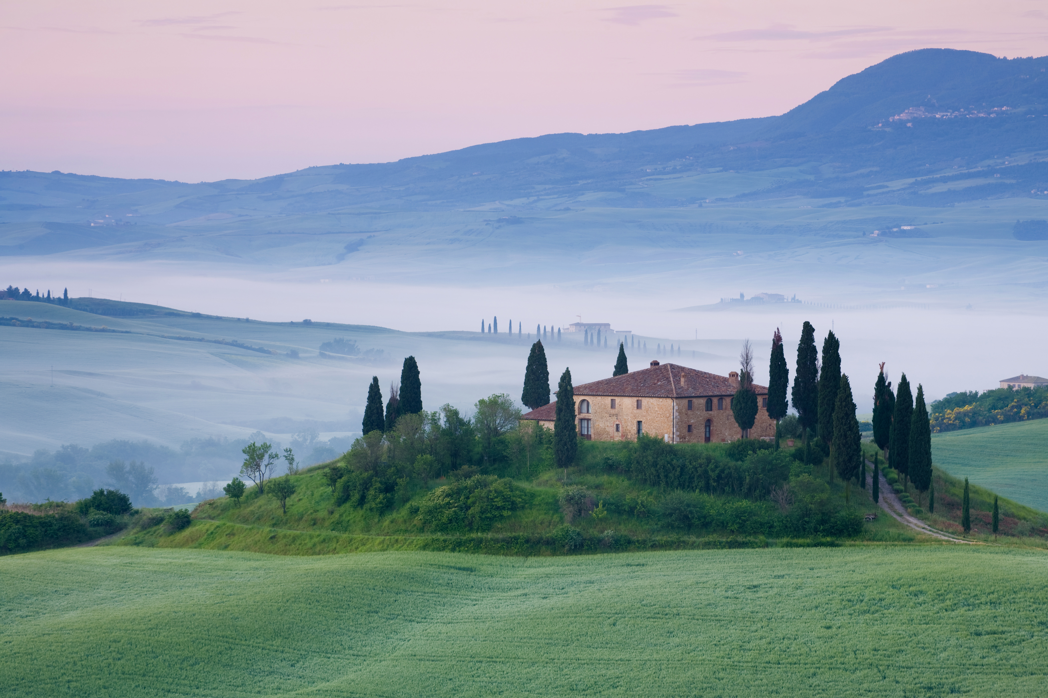 Tuscan farmhouse surrounded by cypress trees standing in green field with mists