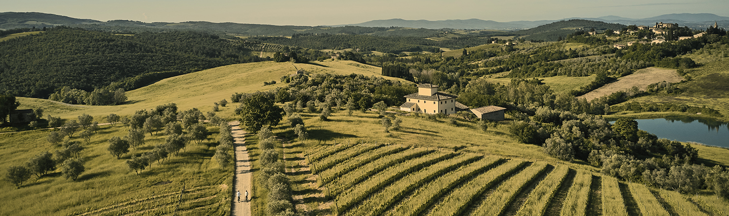 Tuscany food and wine experiences