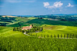 Tuscany trip report: wine towns and coastal resorts