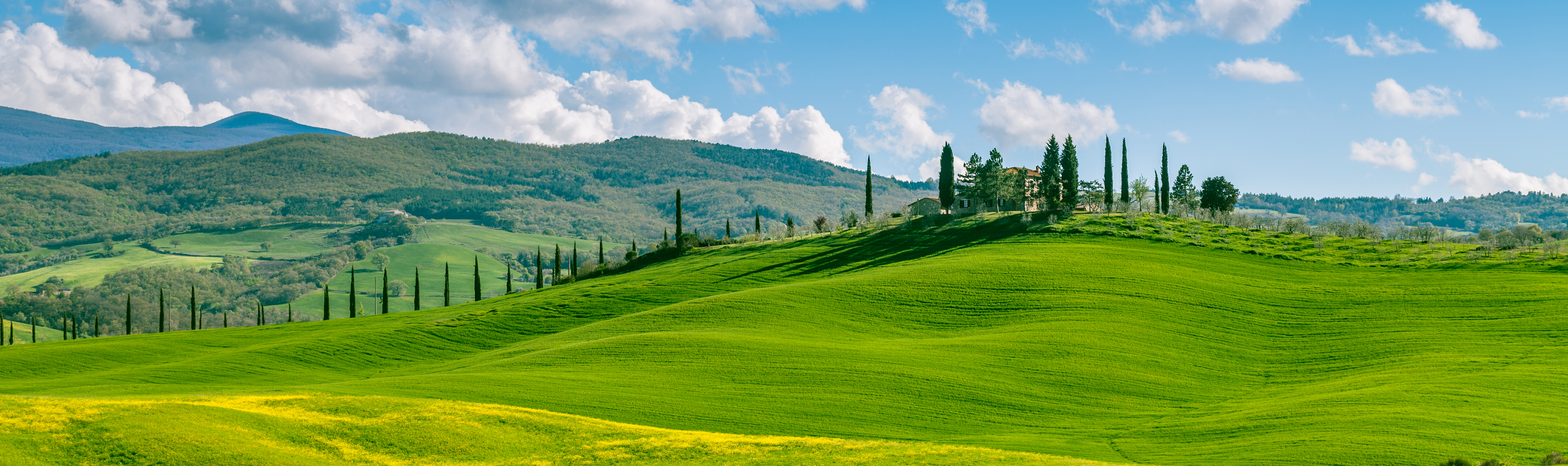 Tailor-made touring holidays